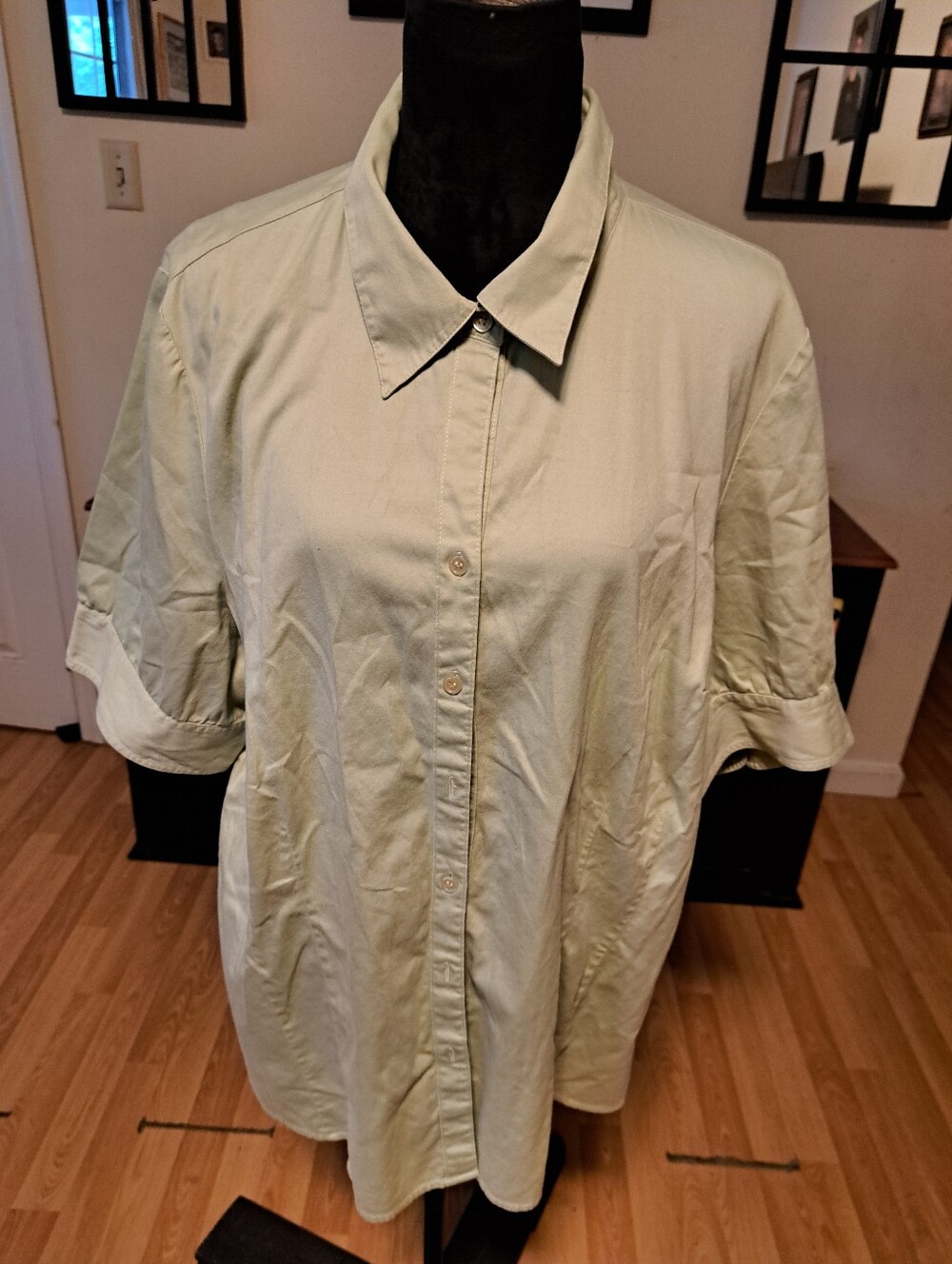 Lane Bryant Green Short Sleeve Button Up Collared Shirt Blouse Plus Size 22/24